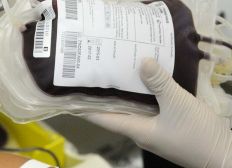 Imagem de STF julga doação de sangue por homossexuais nesta quinta; entenda