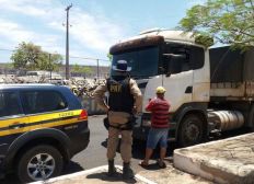 Imagem de Motorista é preso embriagado dirigindo caminhão com 36 toneladas de carga na Bahia, diz PRF