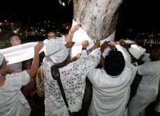 Imagem de Adeptos do culto afro vestem árvores de branco para pedir paz e tolerância