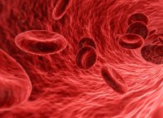 Imagem de Cientistas encontram caminho para gerar novos vasos sanguíneos