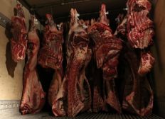 Imagem de Carro de Boi termina com 3,5 toneladas de carnes apreendidas