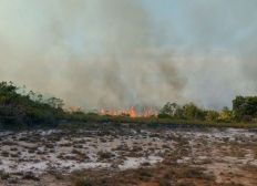 Imagem de Incêndio atinge extensão de 4,5 km de vegetação em Maraú, sul da Bahia