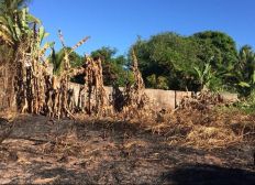 Imagem de Incêndio destrói vegetação perto de casas em Barra do Jacuípe