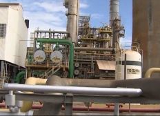 Imagem de Petrobras quer desligar fábricas de fertilizantes na Bahia e Sergipe até 31 de outubro
