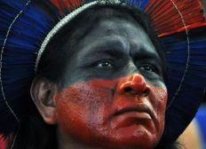 Imagem de Um milhão de indígenas brasileiros buscam alternativas para sobreviver