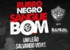 Imagem de Campanha 'Negro Sangue Bom' vale para Vitória x Boa EC