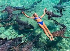 Imagem de Modelo é mordida por tubarão durante sessão de fotos nas Bahamas
