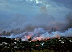 Imagem de Sobe o número de mortos nos incêndios florestais na Grécia