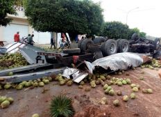 Imagem de Casal fica ferido após caminhão carregado com coco tombar na Bahia