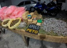 Imagem de Vinte mil pinos para cocaína são apreendidos em Salvador