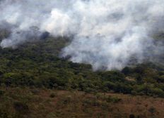 Imagem de Mato Grosso pode prorrogar até outubro proibição de queimadas