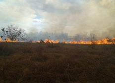 Imagem de Incêndio de grandes proporções destrói vegetação e atinge área da Uesb