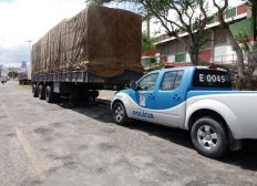Imagem de Decarga recupera 45 toneladas de madeira roubada em Araci
