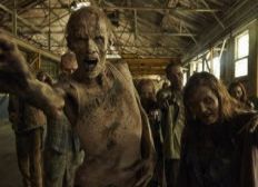 Imagem de Fã de ‘The Walking Dead’ mata amigo por acreditar que ele virou zumbi