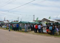 Imagem de Valença ganha feira de produtos orgânicos e agroecológicos