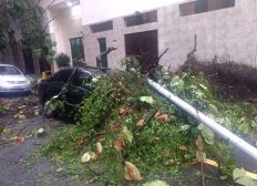 Imagem de Tempestade deixa três mortos na cidade do Rio