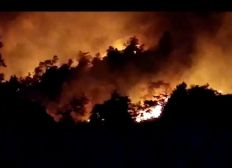 Imagem de Incêndio atinge área de mata próxima a casas entre Amargosa e Brejões