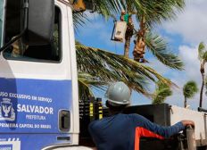 Imagem de Prefeitura de Salvador faz licitação de R$ 170 milhões para manutenção de infraestrutura da cidade