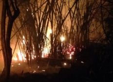 Imagem de Incêndio destrói 70% de vegetação sagrada do Ilê Axé Opô Afonjá