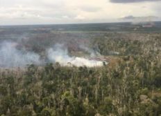 Imagem de Casos de incêndios em vegetação dobram nos dois primeiros meses do ano na Bahia