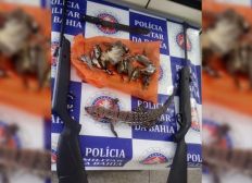 Imagem de Homem é preso com animais silvestres mortos e duas espingardas no interior da Bahia