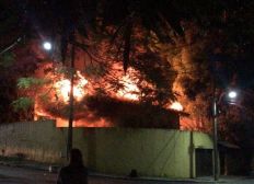 Imagem de Incêndio atinge área no Horto Florestal