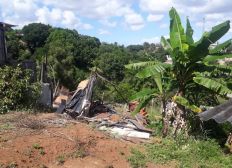 Imagem de Mais de 30 barracos são derrubados em área de proteção ambiental nobairro de Valéria