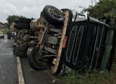 Imagem de Motorista de caminhão que transportava bois morre após veículo tombar em rodovia da BA