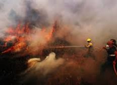 Imagem de Incêndio florestal atinge Portugal e fere 32 pessoas