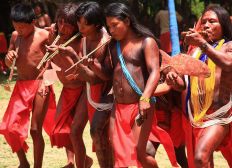 Imagem de Organização indígena questiona laudo sobre morte de cacique no Pará