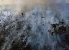 Imagem de Grupo usou whatsapp para convocar "dia do fogo" no Pará, na Amazônia