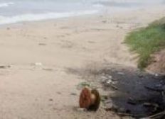 Imagem de Seis praias estão impróprias para banho em Salvador