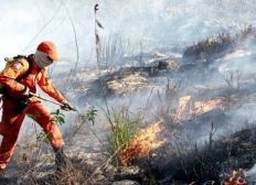 Imagem de Governo investe R$ 6,7 milhões em ações contra incêndios florestais na Bahia