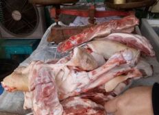 Imagem de Operação apreende uma tonelada de carne e laticínios clandestinos em Planalto