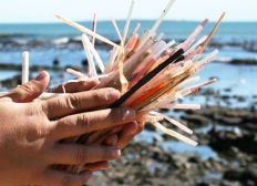 Imagem de Lei que proíbe o uso de canudos plásticos descartáveis em Salvador será votada nesta semana