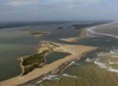 Imagem de Lama de barragem chega ao mar no Espírito Santo e prefeitura interdita praias