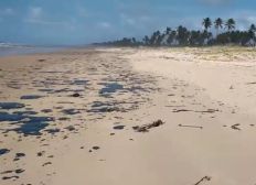Imagem de Sobe para 132 número de praias atingidas por manchas de óleo, aponta Ibama
