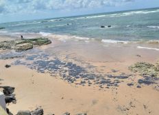Imagem de Mais de 22 toneladas de óleo são retiradas de praias em Salvador