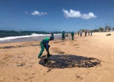 Imagem de Mais de 525 toneladas de resíduos foram retiradas de praias com óleo
