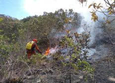 Imagem de Corpo de bombeiros atua em combate aos incêndios florestais na Bahia 