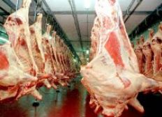 Imagem de Governo garante condições sanitárias para a Bahia exportar carne para os EUA