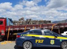 Imagem de Três toneladas de maconha são apreendidas em caminhão na Bahia