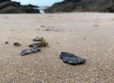 Imagem de Análise comprova a ausência de substâncias derivadas do óleo nas praias do litoral baiano