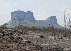 Imagem de Imagens mostram destruição por fogo na Chapada Diamantina, na BA