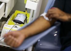 Imagem de Só doação regular de sangue mantém estoques, diz ministério