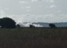 Imagem de Incêndio atinge reserva ambiental no sul da Bahia