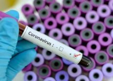 Imagem de A Bahia registra 674 casos confirmados do novo coronavírus (Covid-19) com 21 mortes