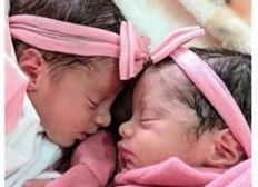 Imagem de Recém-nascidas gêmeas morrem após serem atacadas por cachorro da família no sudoeste da Bahia