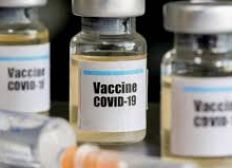Imagem de Anvisa autoriza novo teste para vacina