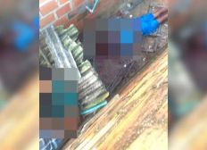 Imagem de Um jovem e um adolescente são mortos a tiros em Mata de São João